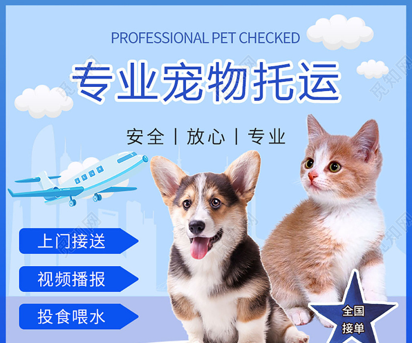 藍色幾何寵物專業寵物托運宣傳主圖 | 寵物服務主圖